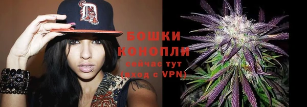 соль ск Аркадак