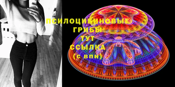 соль ск Аркадак