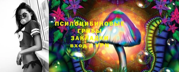 соль ск Аркадак