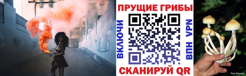 где можно купить наркотик  Павлово  Галлюциногенные грибы мицелий 