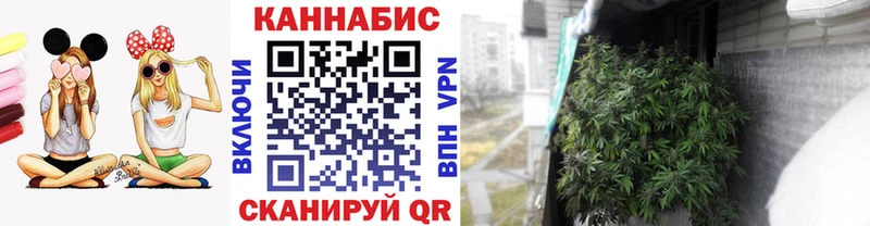 Шишки марихуана планчик Павлово